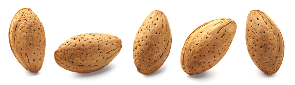 Tasty almonds in shell on white background