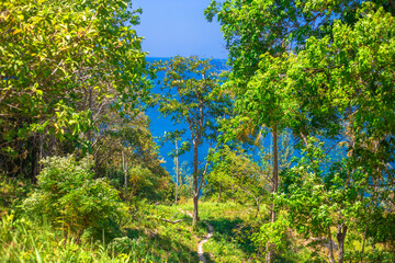 Wide-angle nature background, clear air, beautiful blue sea, and the blur of the sun and the passing wind, spontaneous beauty in the scenic spots.