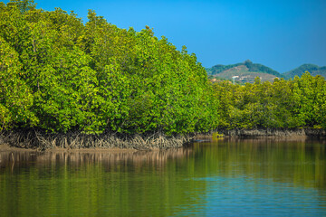 The natural background of the morning light rising in the middle of the sea and surrounded by mountains, cool breezes, the beauty of the ecology of the tourist attractions.