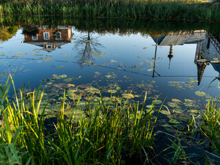 Fototapety na wymiar - Fototapeta24.pl