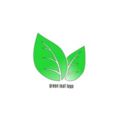 light green leaf logo and white background