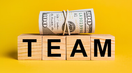 TEAM with money on a yellow background. The concept of business, finance, credit, income, savings,...