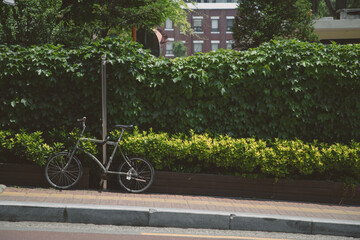 lonely bicycle