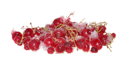 frozen berries isolated on white background