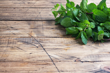 Fresh sprigs of fragrant mint on a wooden background with copy space.