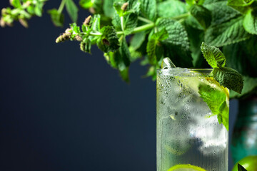 Refreshing summer drink with lime, mint and ice.