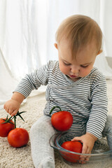 Fototapeta premium Cute baby girl are sitting whith tomato white background interior. Funny child explores vegetable