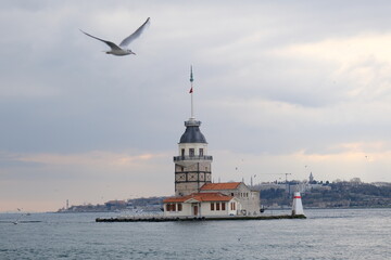 Naklejka premium City of istanbul during overcast weather with seagulls with huge mosques and minarets and galata tower background from maiden tower. İstanbul Turkey 01.03.2021
