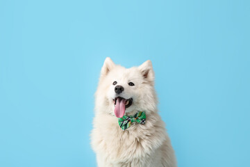 Cute dog with bowtie on color background. St. Patrick's Day celebration