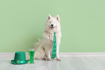 Cute dog with green necktie, hat and beer near color wall. St. Patrick's Day celebration