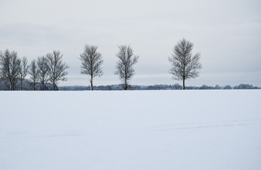 Winter landscape panorama of field with trees on horizon line. 