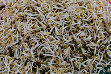 bean sprouts