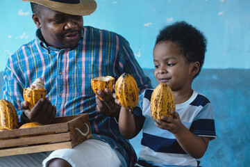 African father and son hold the cocoa freshly harvested from his farm, Cacao fruits which is used...