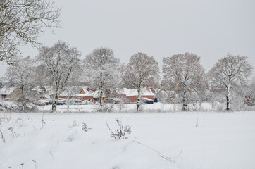 Winter landscape panorama of snow covered field with trees and village houses on horizon line. 