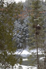 Obraz premium The Plaisance waterfall in southern Quebec