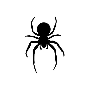 Spider Black Widow. Black bug spider silhouette, isolated white background. Scary Halloween icon, symbol horror, animal arachnid, creepy dangerous insect, arachnophobia fear Vector illustration