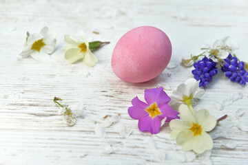 easter eggs painted in pink on a table among spring flowers and petals
