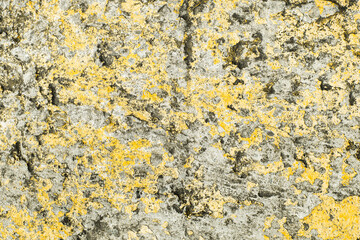 gray with orange marble, concrete aged texture. old, vintage Fortuna Gold background. with roughness and cracks