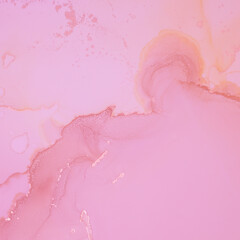 Rose Ink Wash Pastel. Abstract Illustration.
