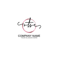 Letter TS Beautiful handwriting logo