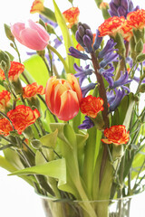 Bouquet of beautiful spring flowers.