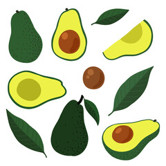 Set of colorful fresh avocado whole, half and leaves, seed. Flat cartoon organic fruits..Healthy food. Vector illustration.