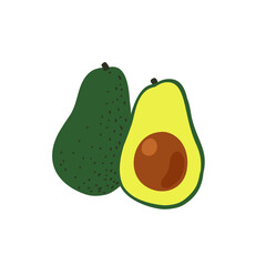 Colorful fresh avocado whole, half. Flat cartoon organic fruits..Healthy food. Vector illustration.