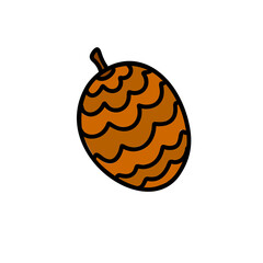 Pinecone. Doodle outline vector illustration.