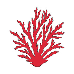 Coral. Underwater hand drawn sea, ocean plants, coral elements, algae. Vector illustration.