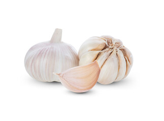  Garlic isolated on white background.