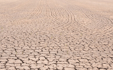 Drought and cracked land on the agriculture farm