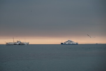 Obraz premium Internal transportation ships and ferry with many seagulls after sunset and overcast sky background ins bosphorus in Istanbul. Turkey. Istanbul. 01.03.2021.
