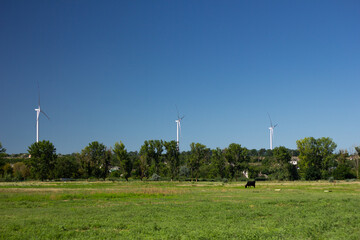 Fototapeta na wymiar Wind turbines on a background of sky and nature