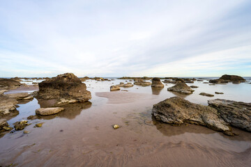 sandy coastal landscape at island of Gotland in Sweden