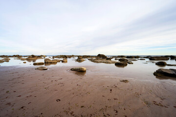 Fototapeta na wymiar sandy coastal landscape at island of Gotland in Sweden