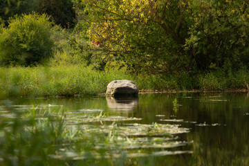Riverbed in summer in the park