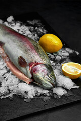 Raw fresh organic dorado or sea bream with lemon on ice cubes over black slate, stone or concrete background.