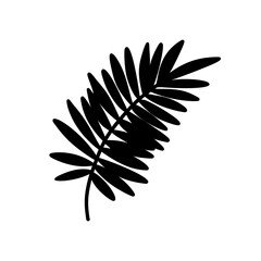 Palm leaf. Black silhouette. Tropical forest element. Vector illustration.