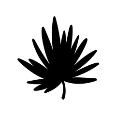 Palm leaf. Black silhouette. Tropical forest element. Vector illustration.