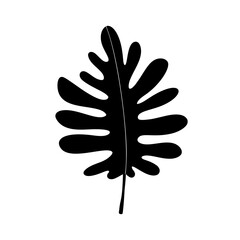 Tropical leaf. Black silhouette. Forest element. Vector illustration.