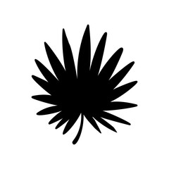 Palm leaf. Black silhouette. Tropical forest element. Vector illustration.