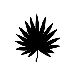 Palm leaf. Saw palmetto. Black silhouette. Tropical forest element. Vector illustration.