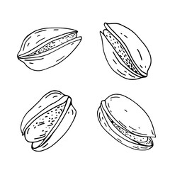 Pistachio. Organic food. Hand drawn line vector illustration.