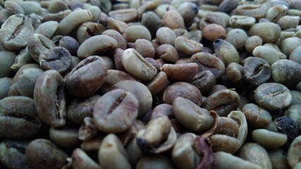 Photo of coffee beans that have not been roasted