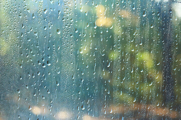 spring day in the park / view of the spring landscape in the park through the window, raindrops on...