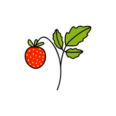 Strawberry. Forest, garden berrries. Doodle outline vector illustration.