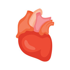 Heart. Icon. Vector illustration isolated on white background
