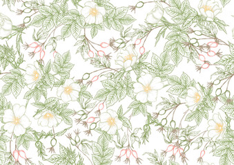 Rose hips with flowers and berries seamless pattern. Graphic drawing, engraving style. Vector illustration on white background