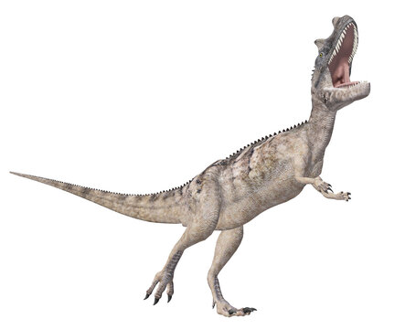 Dinosaurier Ceratosaurus, Freisteller