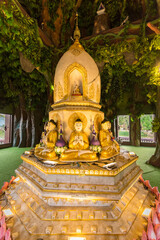 Lop Buri, Thailand - February, 17, 2021 : Huay Kaew Temple Pagoda Lop Buri Province, Thailand